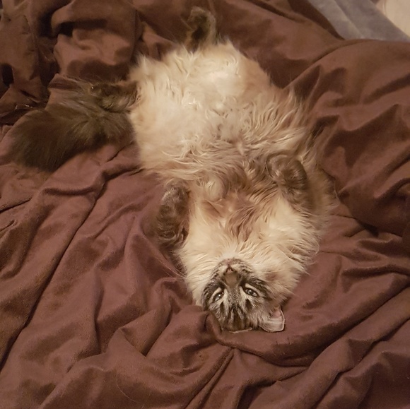 Meet your Posher, Ashley - Picture 1 of 1